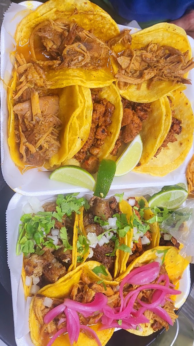 Tacos Mi Buen