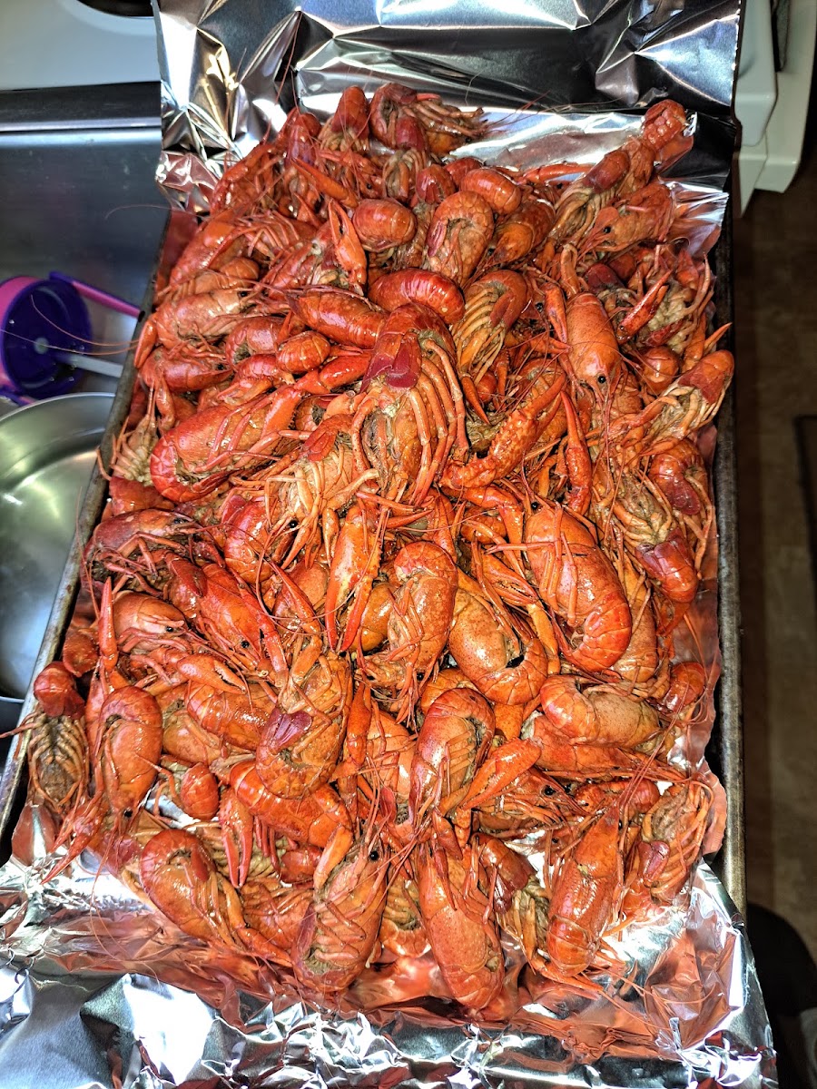 Papa Tim's crawdads hole