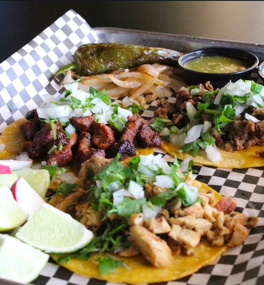 Monarca Taqueria & Cantina