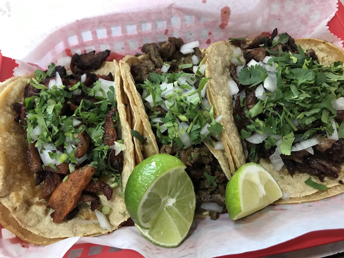 Taqueria La Rosita Palatine