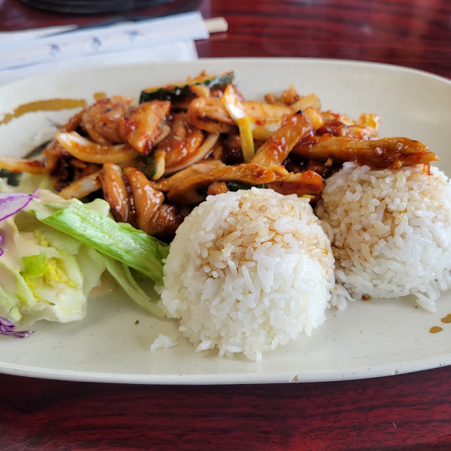 Chicken Teriyaki and Gyoza