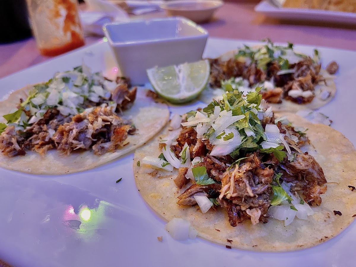 El Tule Oaxaca