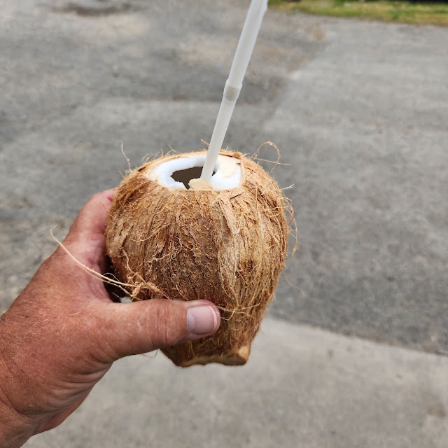 Coconut