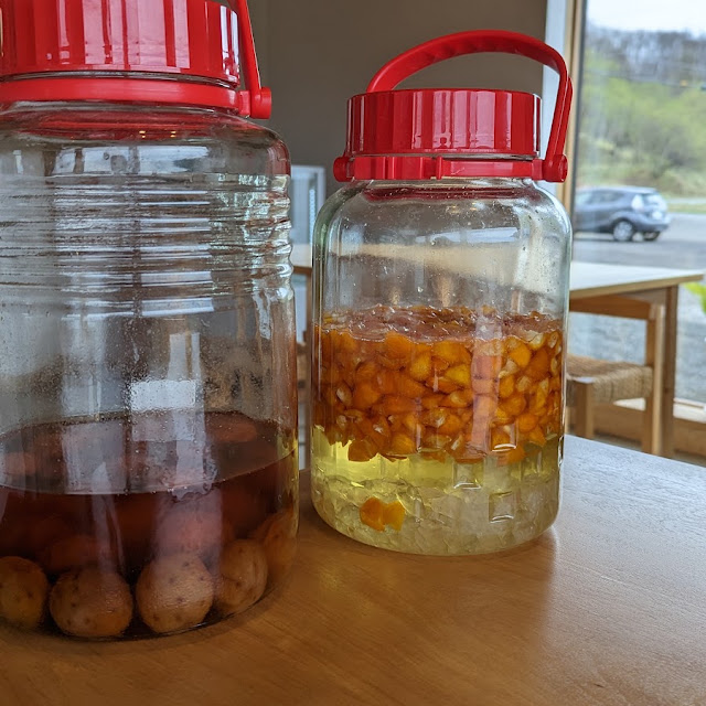Kumquat Infusion