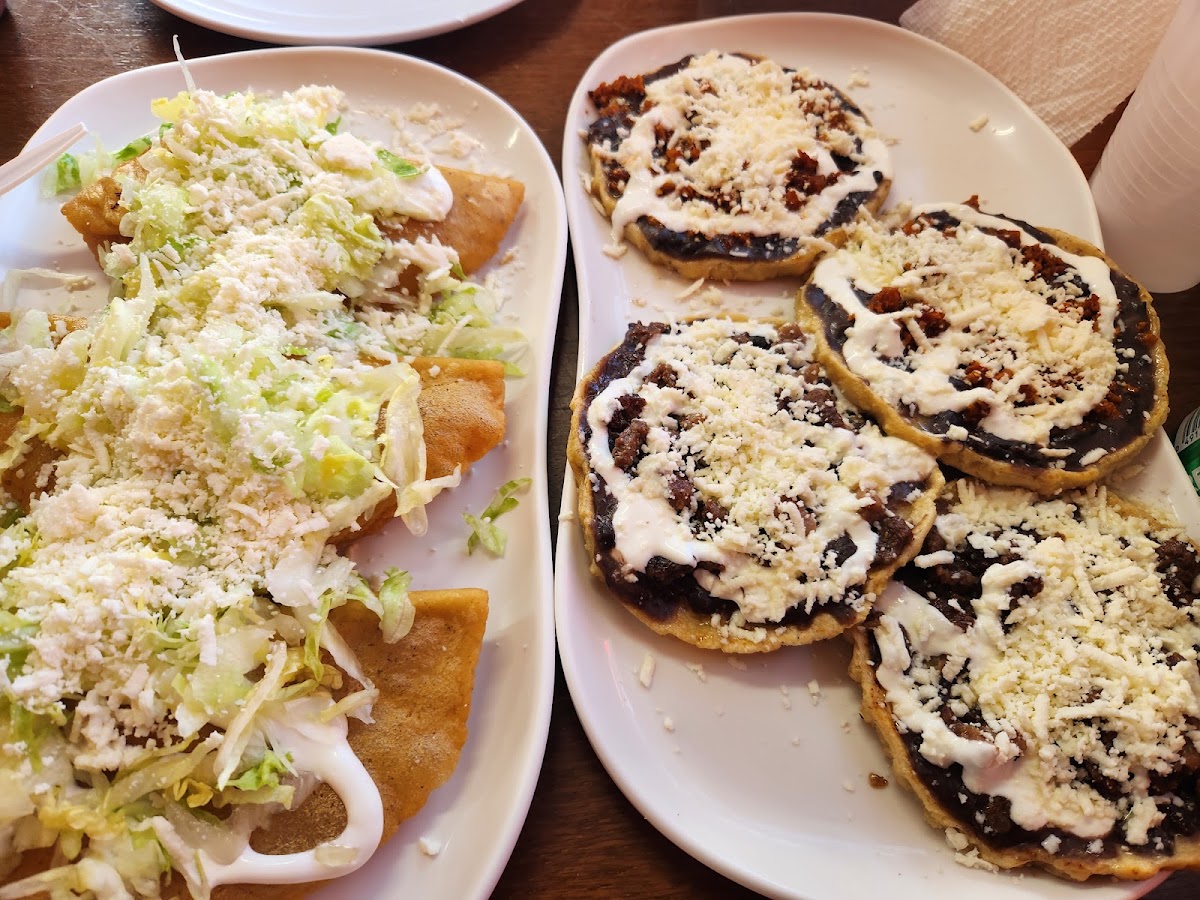Delicias la jarochita