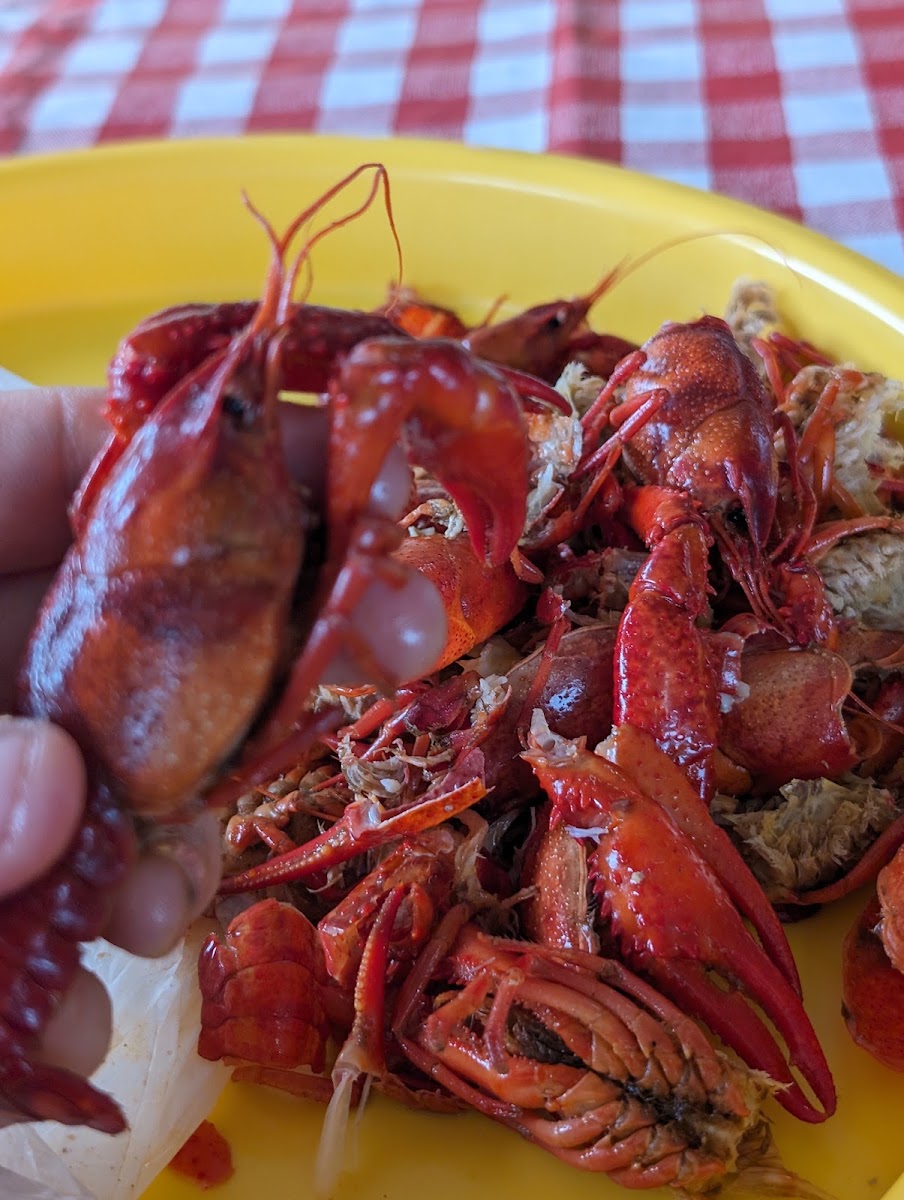 Hot Tails II Crawfish
