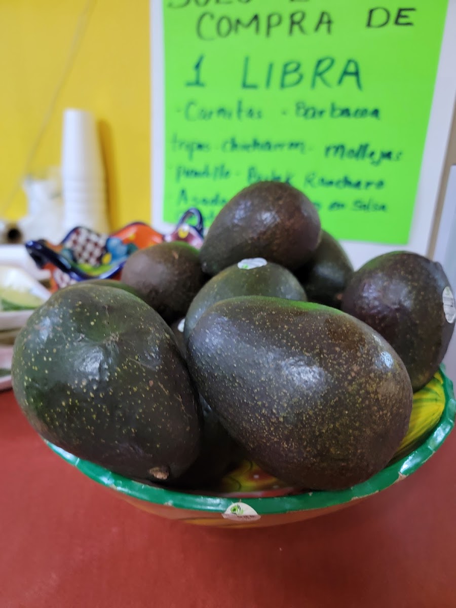 Los cazos tortillería y taqueria