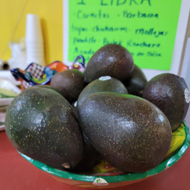Avocado