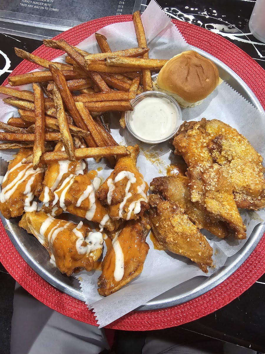 Wings 18 _Houston