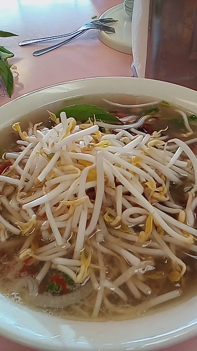 Phở Hòa Noodle Soup