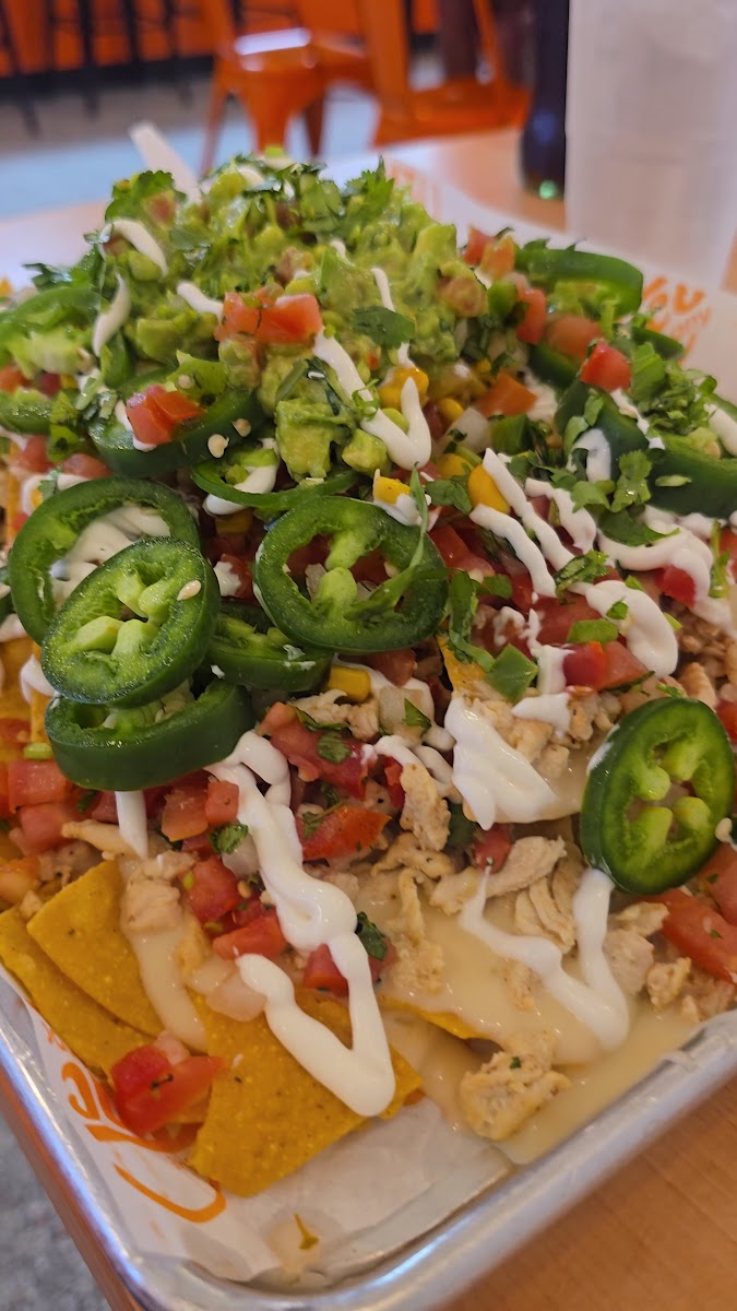 The Taco Company