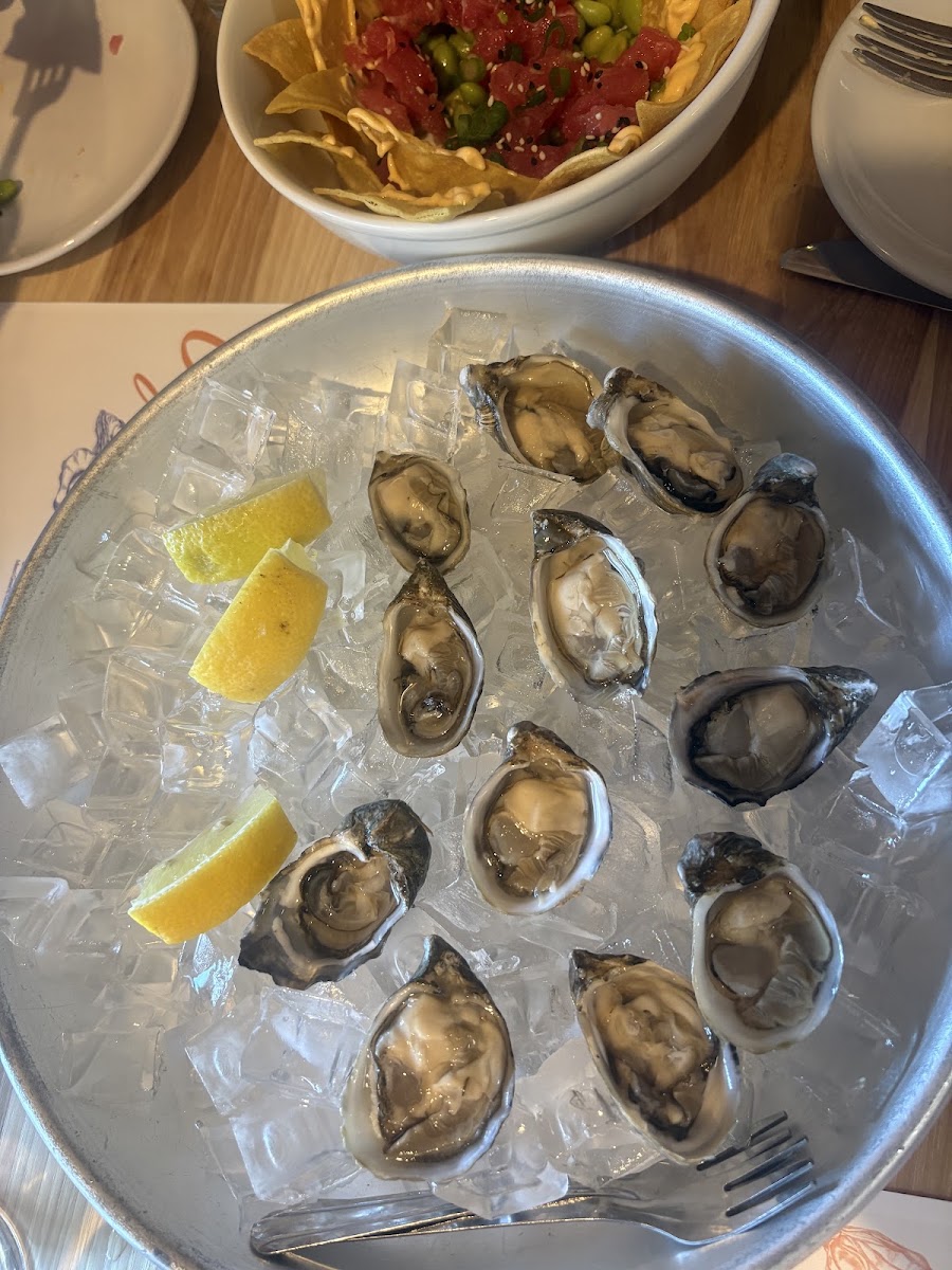 Oye Oysters and Small Plates