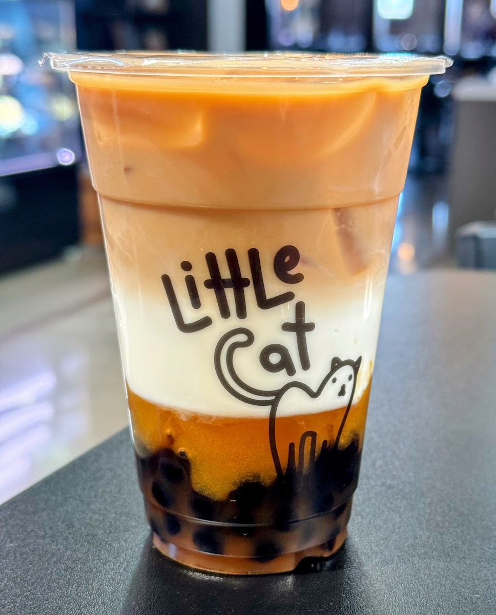 Little Cat