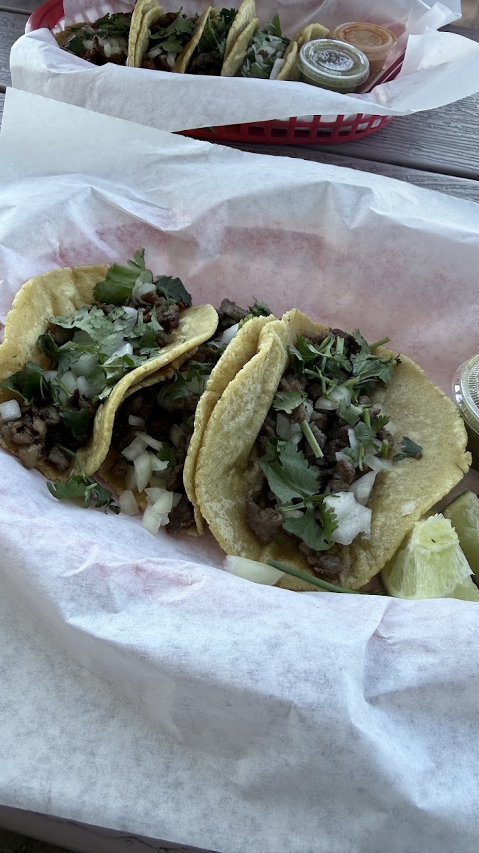 La Monarca Azul Taquería