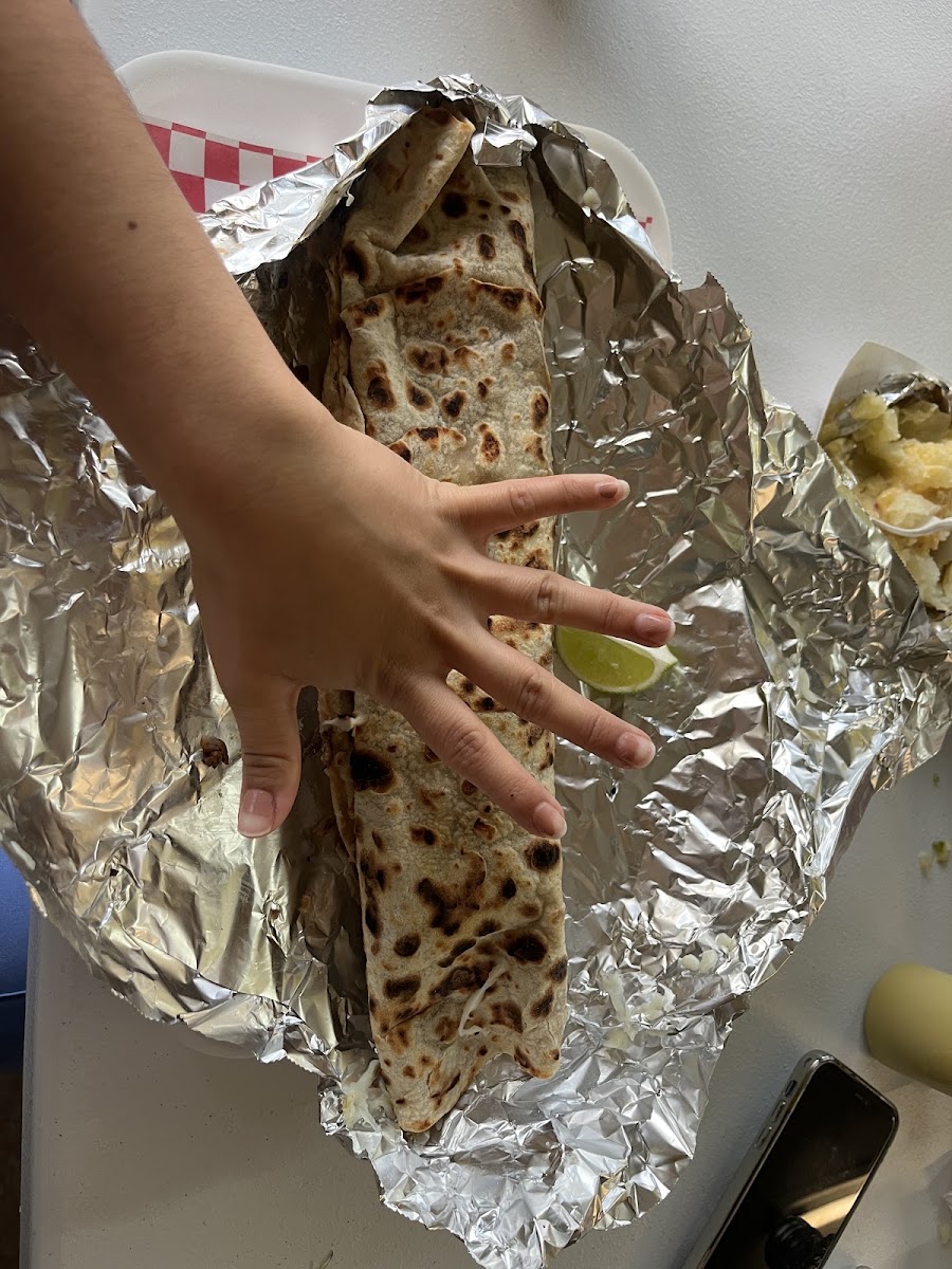 Taqueria El Paisano Truck
