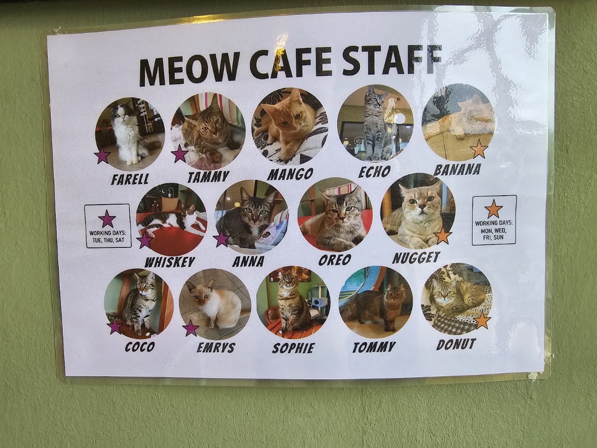 Meow Meow Cat Cafe menu board