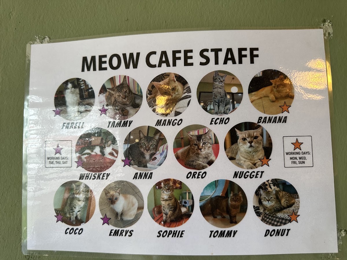 Meow Meow Cat Cafe menu board
