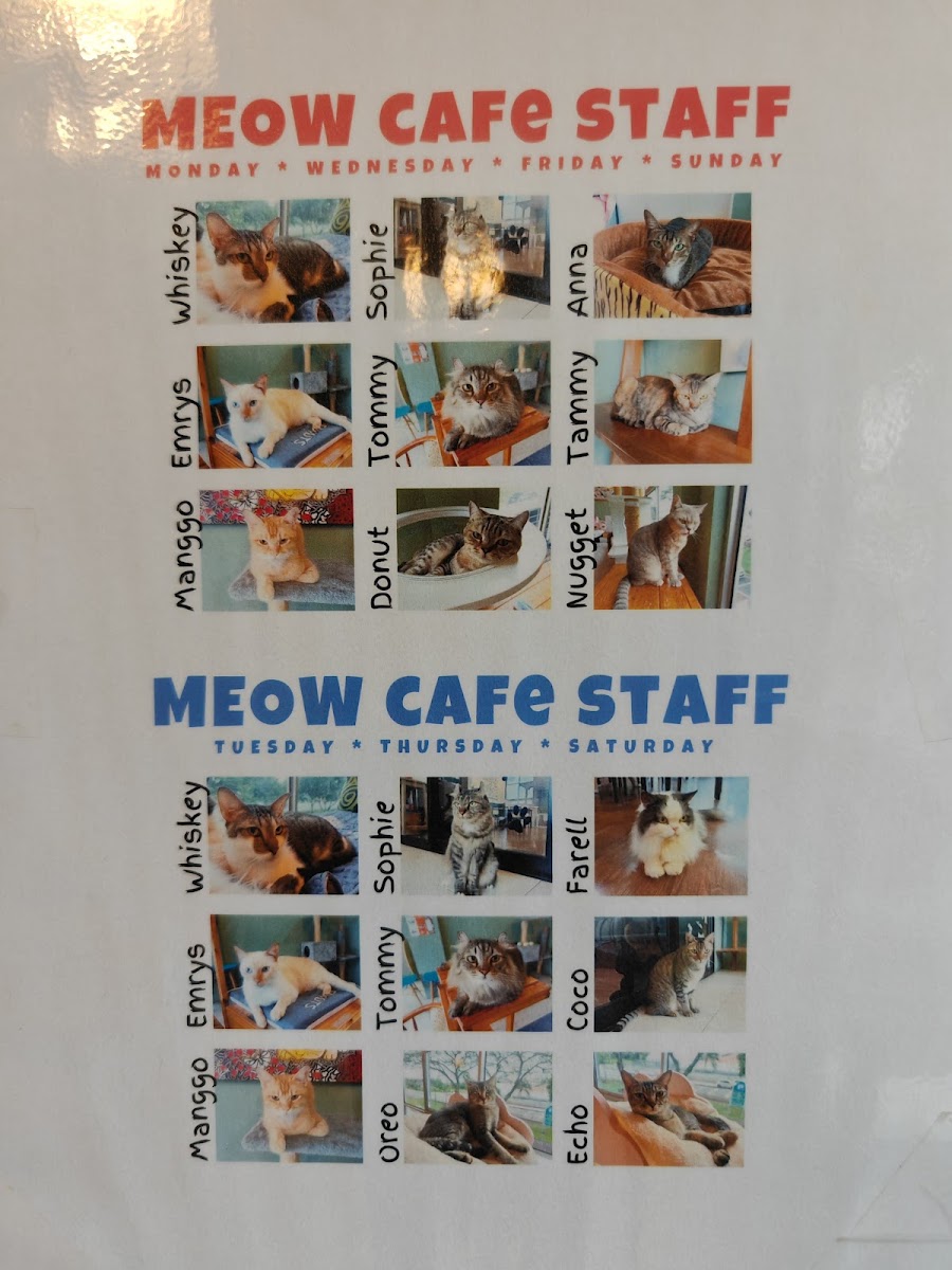 Meow Meow Cat Cafe menu board