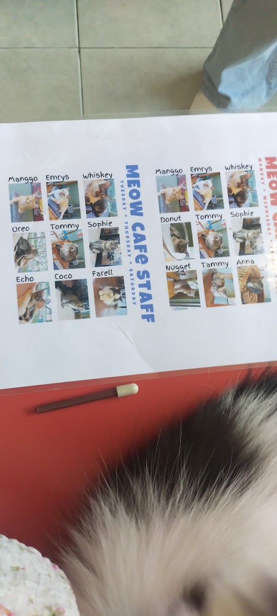 Meow Meow Cat Cafe menu board