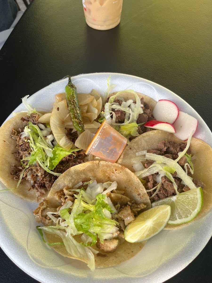 Taqueria La Bendicion Taco Truck
