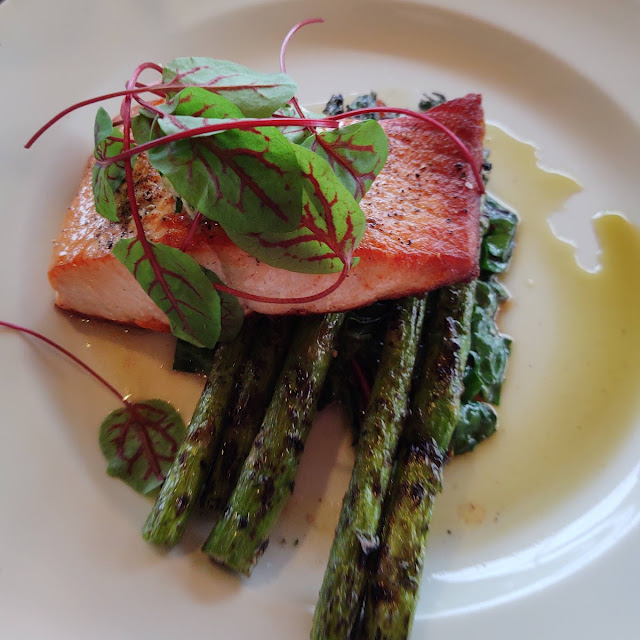 Salmon