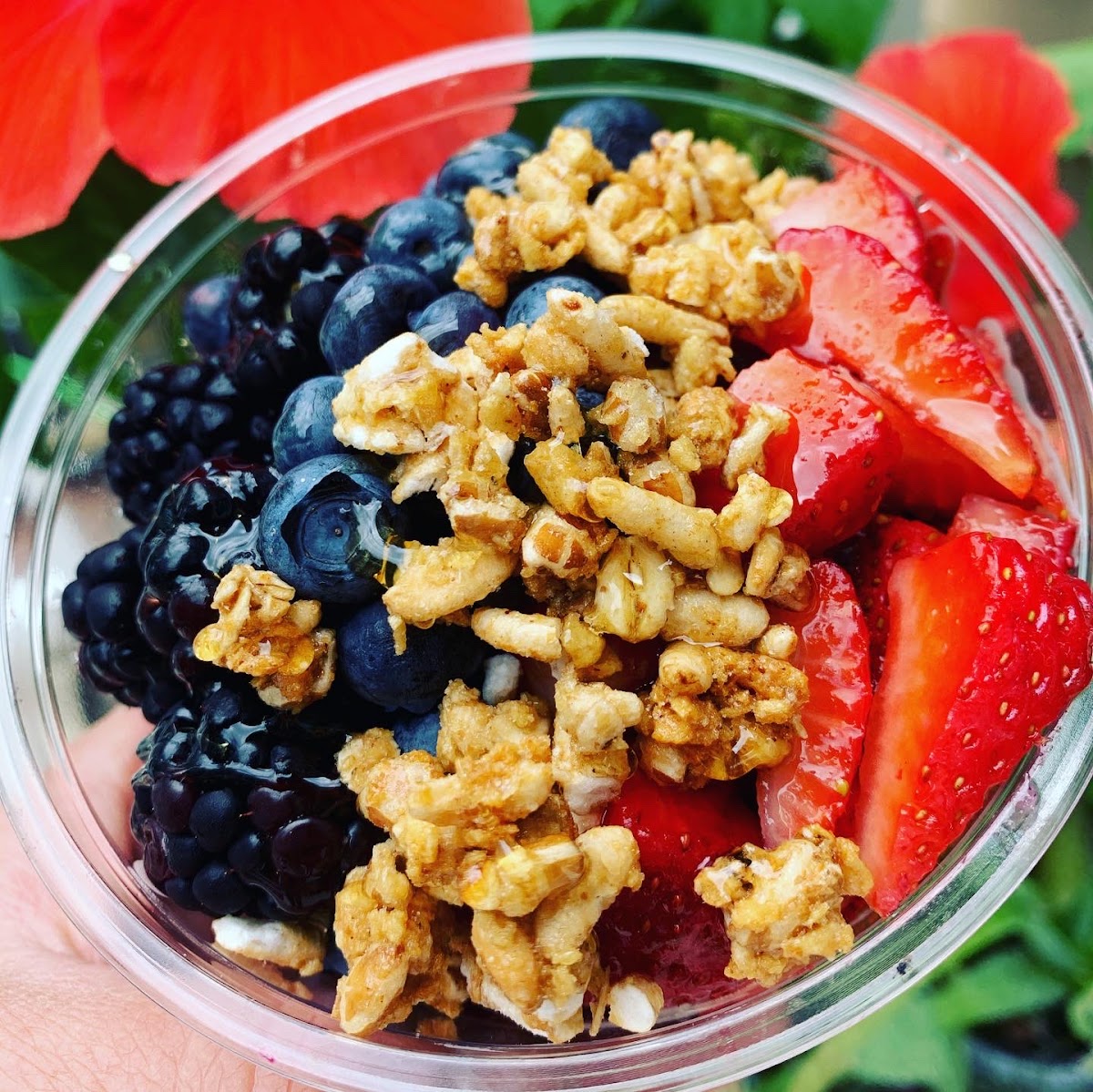 Bountiful Bowls