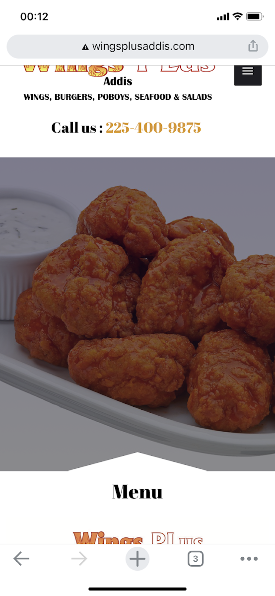Wings Plus