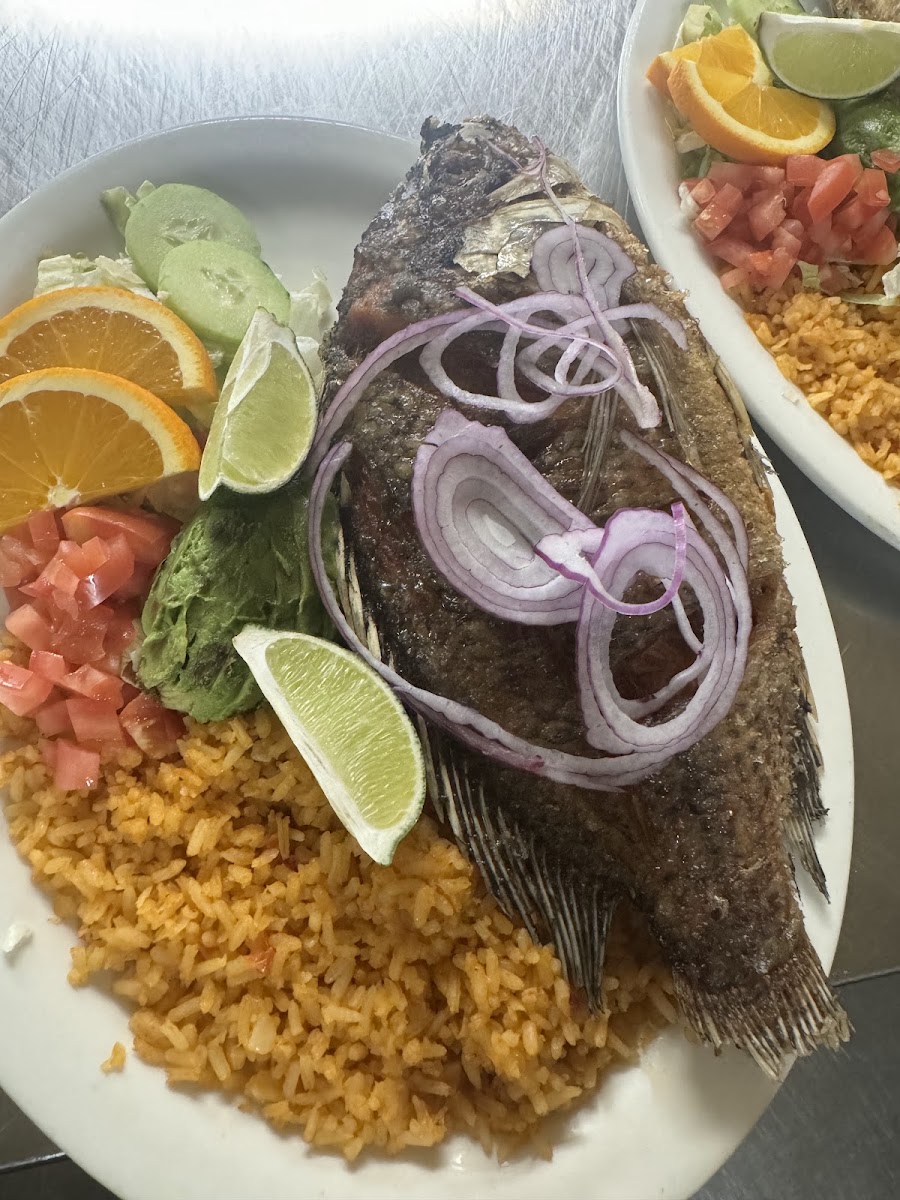 El Mirador Mexican Restaurant